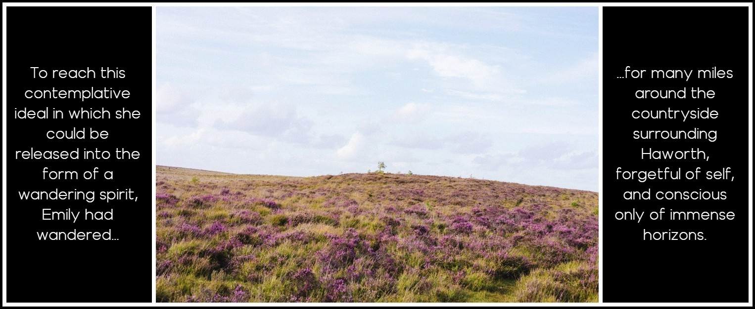 6b-moor-heather-annie-spratt-unsplash