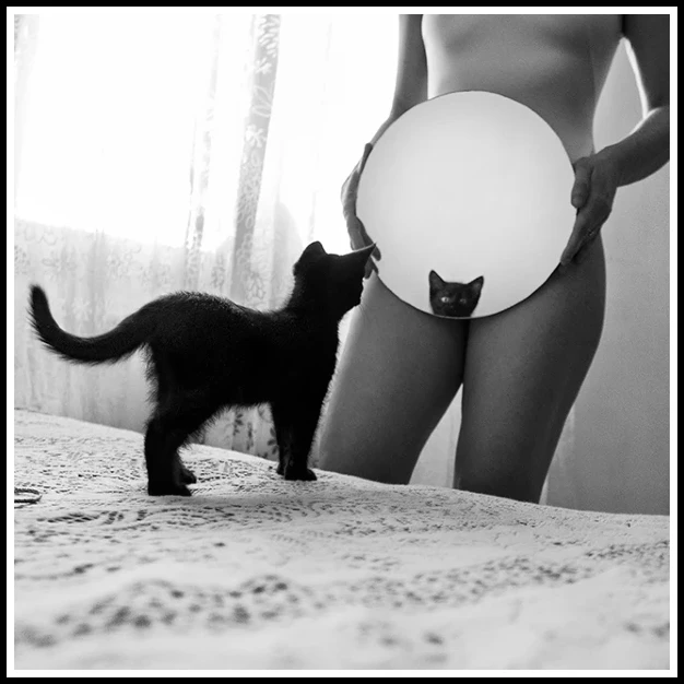 1b-morena-fortino-la-chatte-2014