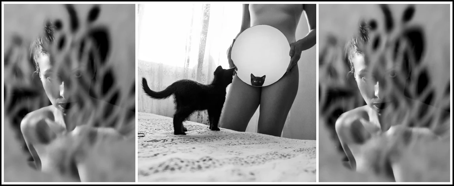 2-morena-fortino-la-chatte-self-portrait-2014