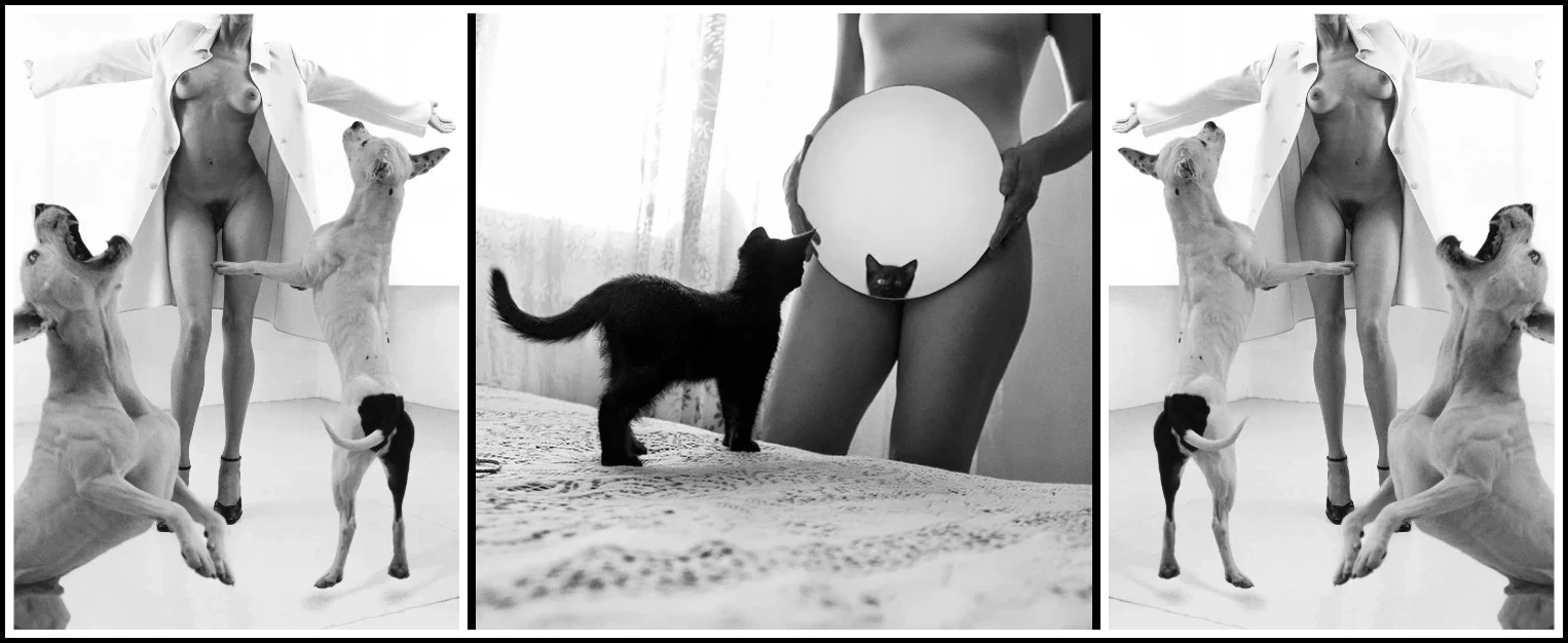 6-guy-le-baube-dogs-morena-fortino-la-chatte