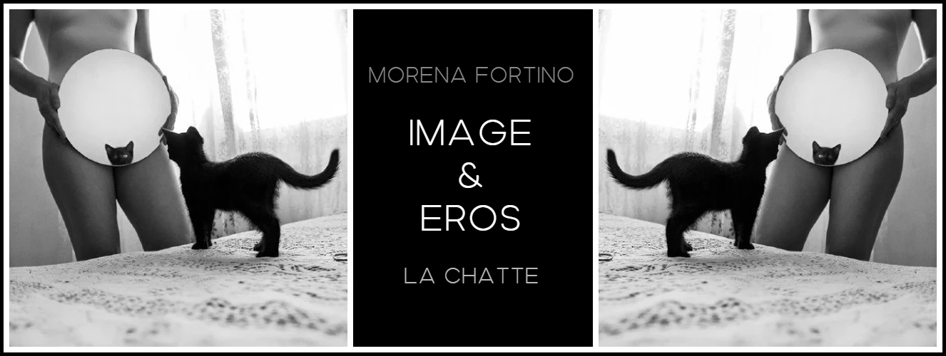51-image-eros-morena-fortino-la-chatte